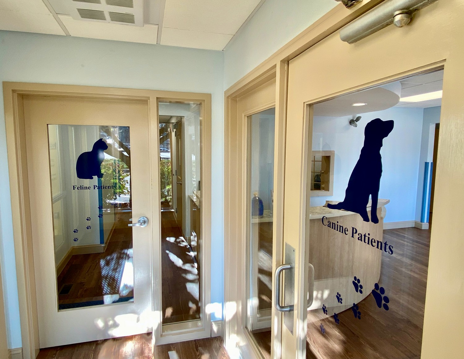 Separate Entrances For Our Feline and Canine Patients